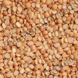 Seamless Ground 0004